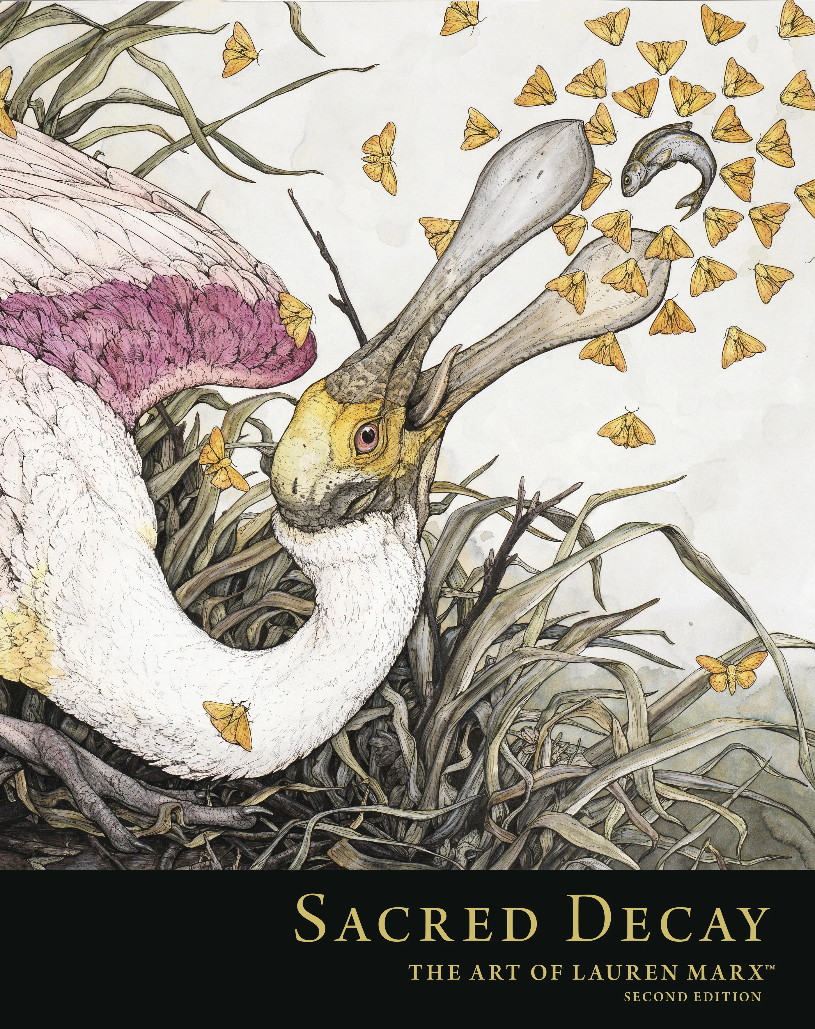 Sacred Decay Art Of Lauren Marx Hc (07/23/2025) Dark Horse