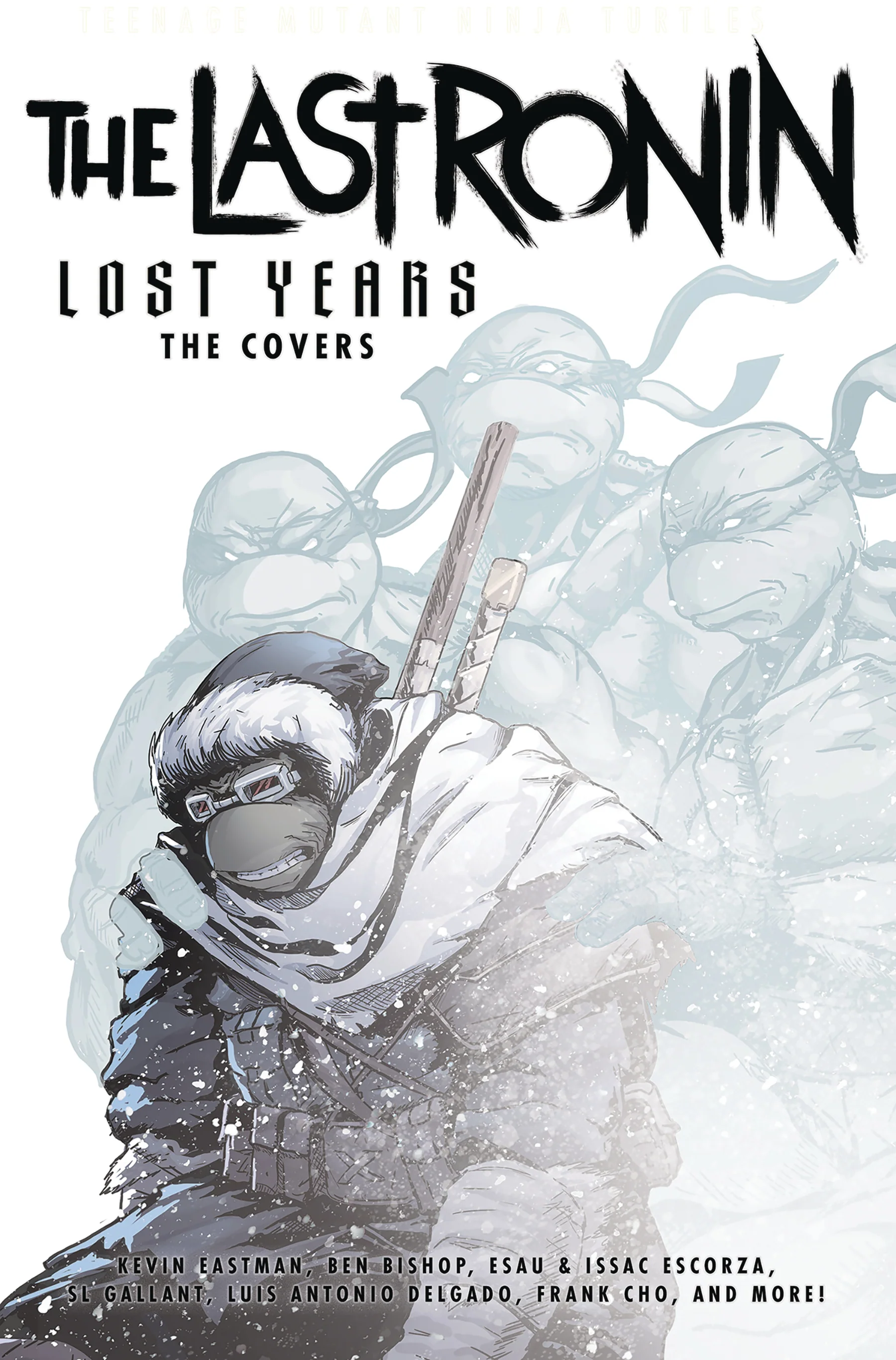 Teenage Mutant Ninja Turtles TMNT Last Ronin Lost Years Covers Hc (11/20/2024) Idw